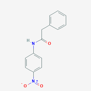 molecular formula C14H12N2O3 B089238 N-(4-硝基苯基)-2-苯乙酰胺 CAS No. 13140-77-7