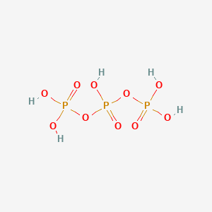 molecular formula H5O10P3 B089308 Triphosphoric acid CAS No. 10380-08-2