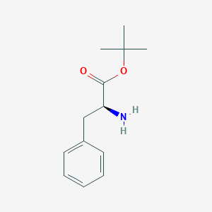 molecular formula C13H19NO2 B091979 (S)-叔丁基 2-氨基-3-苯基丙酸酯 CAS No. 16874-17-2