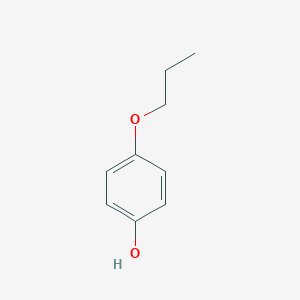 molecular formula C9H12O2 B092817 4-Propoxyphenol CAS No. 18979-50-5