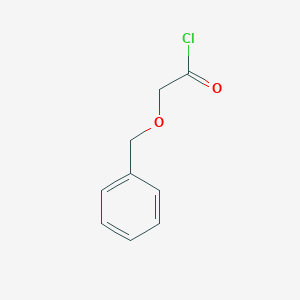 molecular formula C9H9ClO2 B009325 2-(苄氧基)乙酰氯 CAS No. 19810-31-2