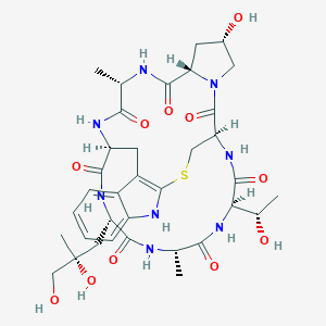 molecular formula C35H48N8O11S B094558 鬼笔环肽 CAS No. 17466-45-4