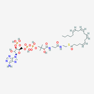 molecular formula C41H66N7O17P3S B096938 Arachidonyl-coa CAS No. 17046-56-9