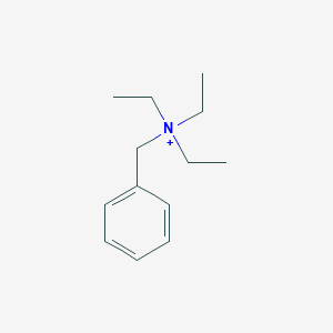 molecular formula C13H22N+ B097683 苄基三乙铵 CAS No. 16652-03-2