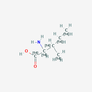 molecular formula C6H13NO2 B098415 2-Amino-3-(114C)methyl(1,2,3,4,5-14C5)pentanoic acid CAS No. 18875-42-8