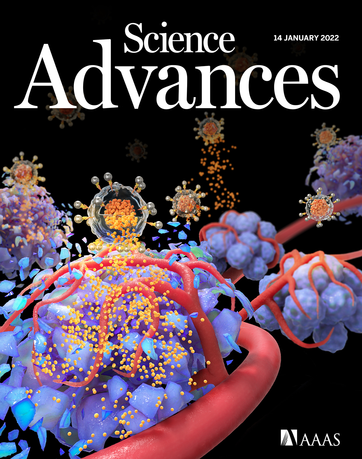 Prevention of age-related truncation of γ-glutamylcysteine ligase catalytic subunit (GCLC) delays cataract formation