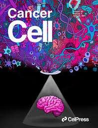 Identification of hypoxic macrophages in glioblastoma with therapeutic potential for vasculature normalization