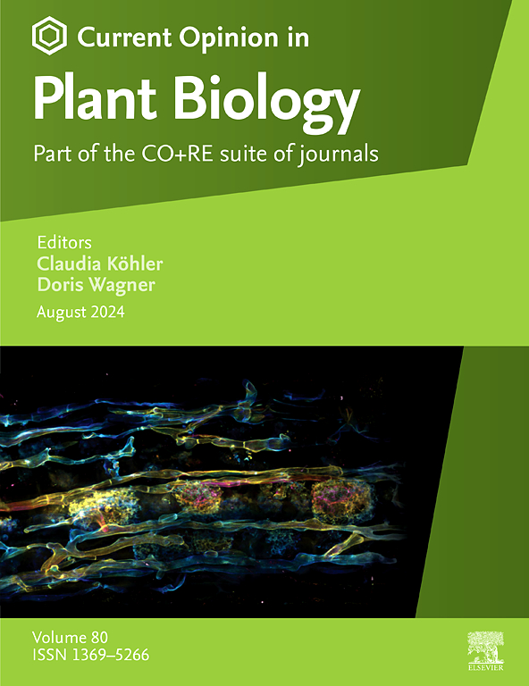 GC-MS validated phytochemical up-leveling with in vitro-raised Sansevieria trifasciata [Prain]: The Mother in Law’s tongue gets more antibacterial☆