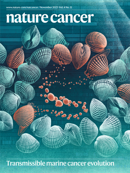 Discovery of potent and selective HER2 inhibitors with efficacy against HER2 exon 20 insertion-driven tumors, which preserve wild-type EGFR signaling